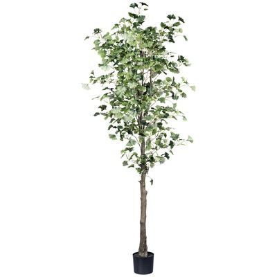 Künstlicher Ginkgobaum, Höhe ca. 210 cm Künstlicher Ginkgobaum, Höhe ca. 210 cm