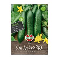Gemüsesamen, Salatgurken 'Silor' F1