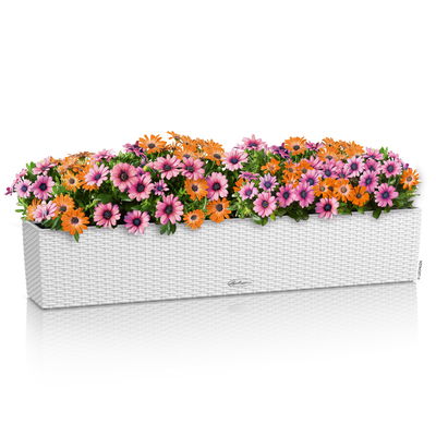 Lechuza 'Balconera Cottage 100', weiß, ca. 99 x 19 x H 19 cm