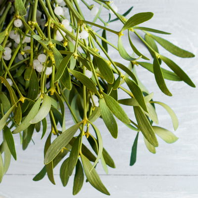 Mistelkrone natur, groß, ca. 45-65 cm Ø