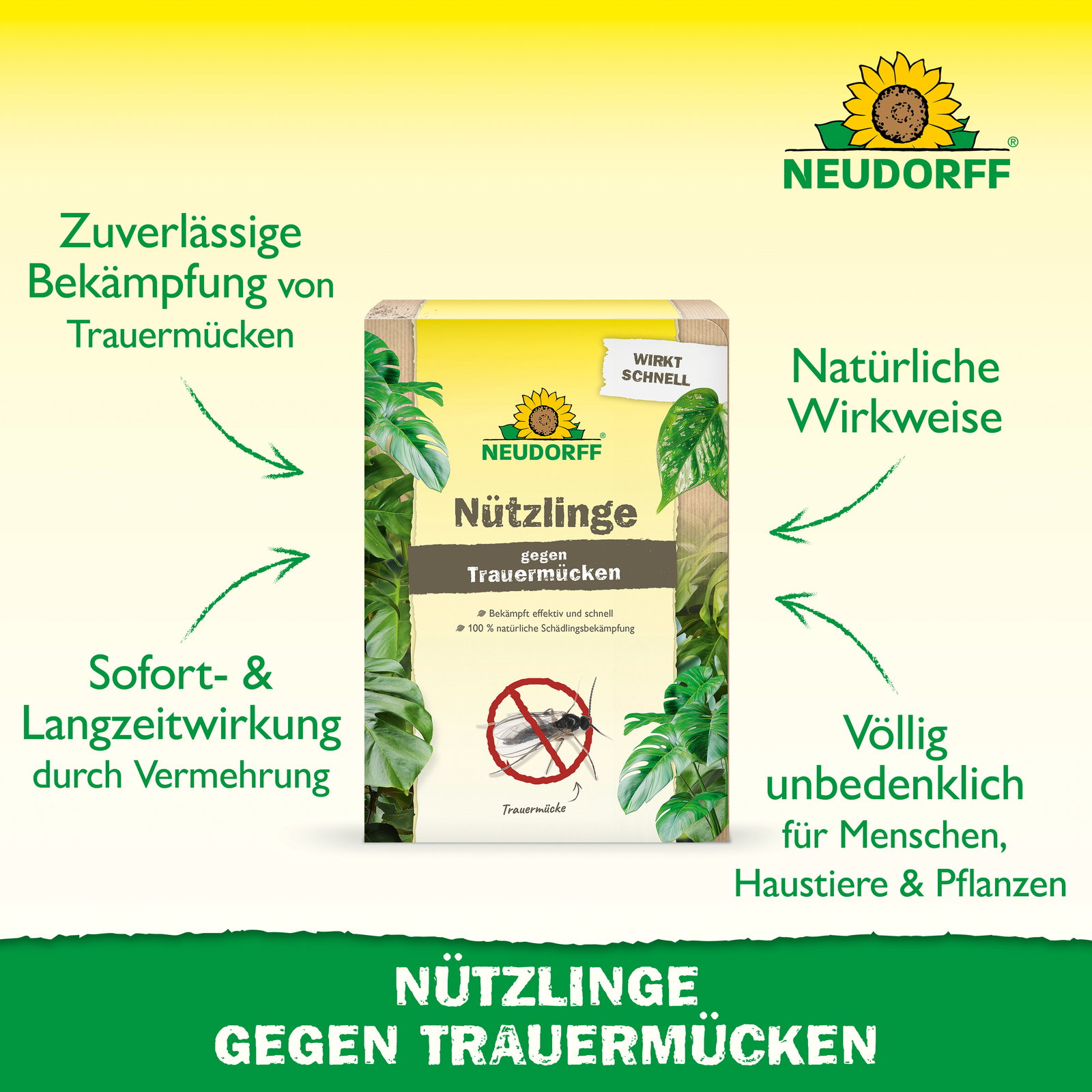 Neudorff Bestell-Set Nützlinge gegen Trauermücken, 5 Mio Stück Neudorff Bestell-Set Nützlinge gegen Trauermücken, 5 Mio Stück