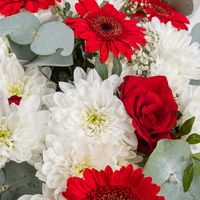 Blumenstrauß 'Prima' rot-weiß, handgebunden
