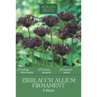 Kölles Beste Allium 'Firmament' blau, 3 Blumenzwiebeln Kölles Beste Allium 'Firmament' blau, 3 Blumenzwiebeln