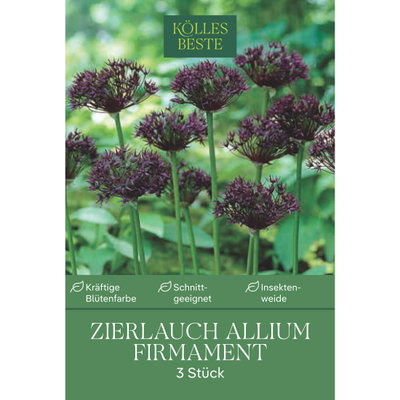 Kölles Beste Allium 'Firmament' blau, 3 Blumenzwiebeln Kölles Beste Allium 'Firmament' blau, 3 Blumenzwiebeln