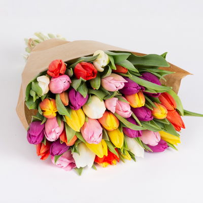 30 Tulpen, bunt 30 Tulpen, bunt