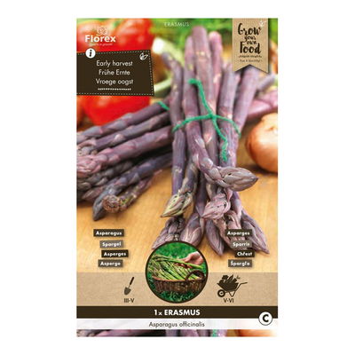 Saatgut Spargel 'Erasmus' Saatgut Spargel 'Erasmus'