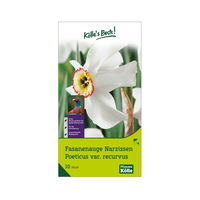 Fasanenauge Narzissen weiß, 5 Blumenzwiebeln