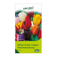 Mittelfrühe Tulpen Prachtmischung, 20 Blumenzwiebeln
