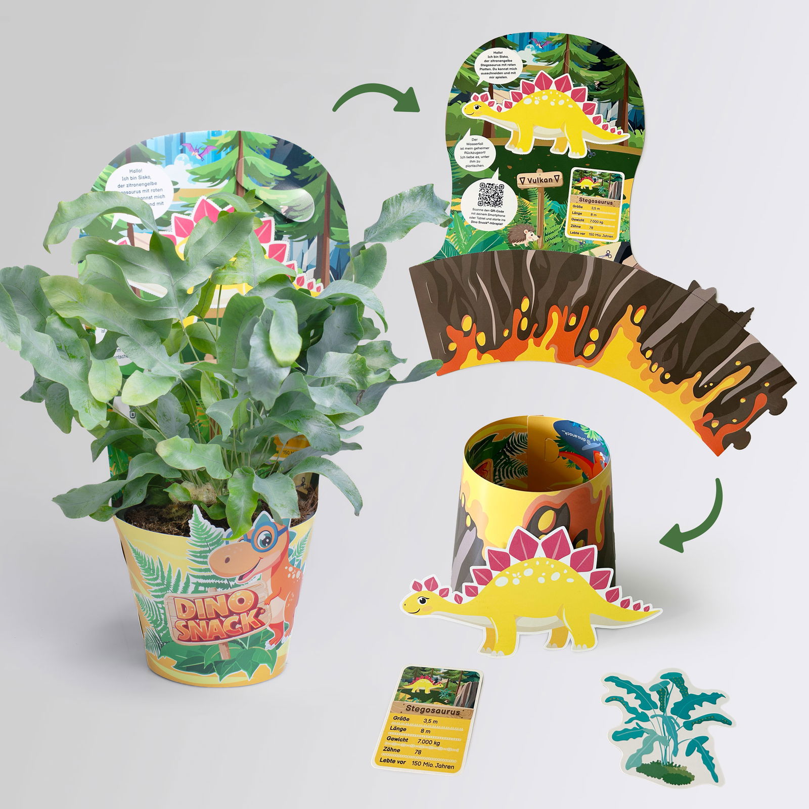 Dino Snack®, Sisko, Goldtüpfelfarn, Topf-Ø 14 cm