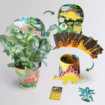 Dino Snack®, Sisko, Goldtüpfelfarn, Topf-Ø 14 cm, mit Brotdose Dino Snack®, Sisko, Goldtüpfelfarn, Topf-Ø 14 cm, mit Brotdose