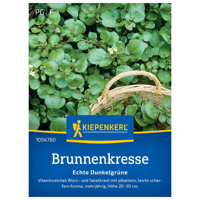 Brunnenkressesamen Brunnenkressesamen