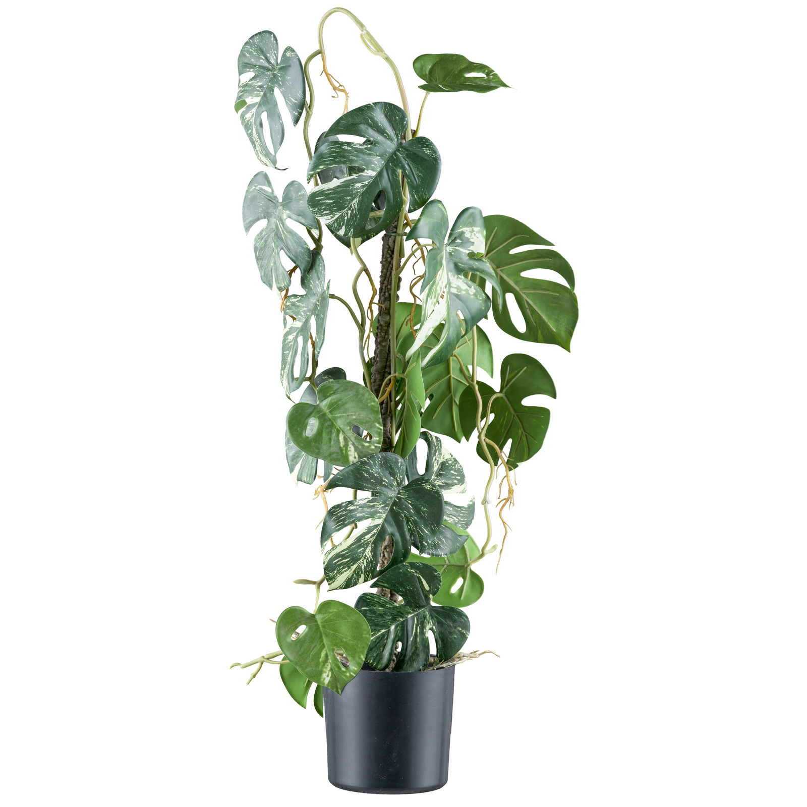 Künstlicher Splitphilodendron variegata, Höhe ca. 66 cm