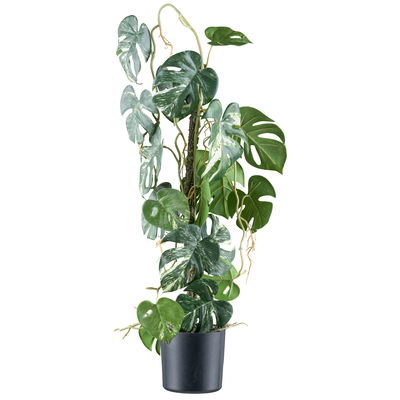 Künstlicher Splitphilodendron variegata, Höhe ca. 66 cm Künstlicher Splitphilodendron variegata, Höhe ca. 66 cm