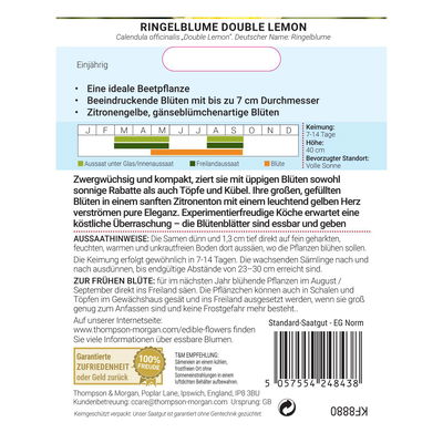 Thompson & Morgen Ringelblume 