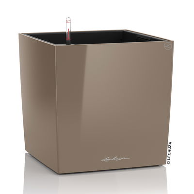 Lechuza 'Cube Premium 50', taupe, ca. 49 x 49 x H 49,5 cm