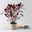 Bio Wolfsmilch 'Miner's Merlot', grün-dunkelviolett, Topf-Ø 12 cm, 3 Pflanzen