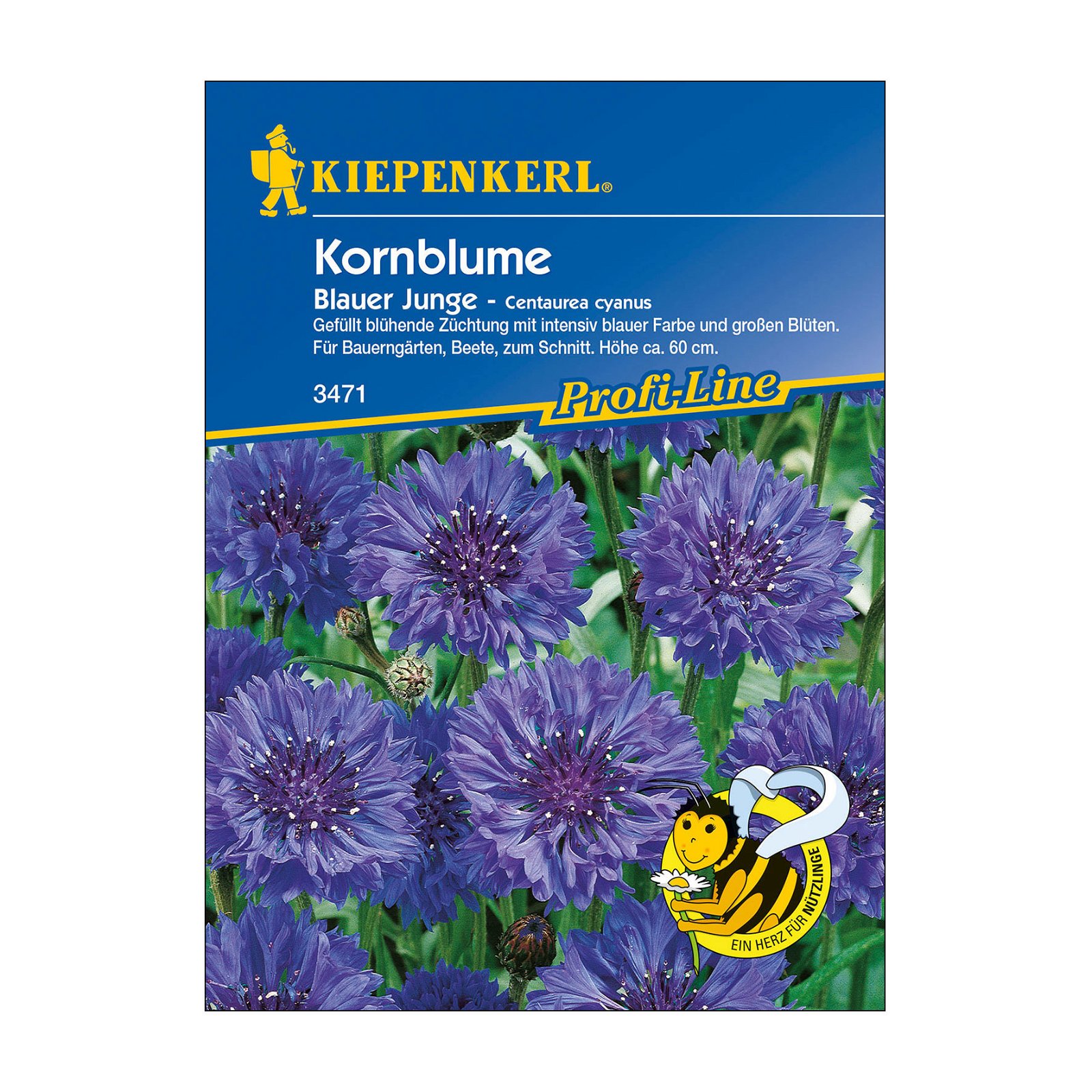 Blumensamen, Kornblume 'Blauer Junge', blau