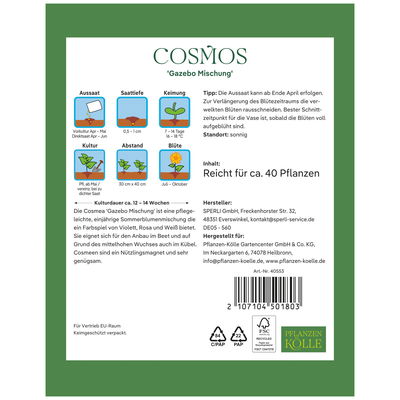 Kölles Beste Saatgutmischung Schmuckkörbchen 'Cosmos Gazebo', bunt