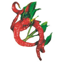 Chili-Paprika Mix, scharf, Topf-Ø 12 cm, 5er-Set