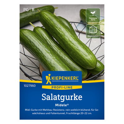 Kiepenkerl Saatgut Salatgurke 'Midele®' Kiepenkerl Saatgut Salatgurke 'Midele®'