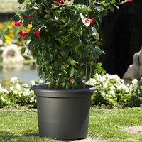 Euro 3 Plast Pflanzkübel 'Geo', anthrazit, ca. Ø 50 x H 38 cm