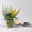 Knospenheide 'Beautybelle®', Mix zufällig, Topf-Ø 11 cm, 6 Pflanzen