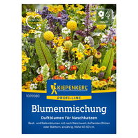 Blumensamen 'Duftblumen für Naschkatzen', bunt