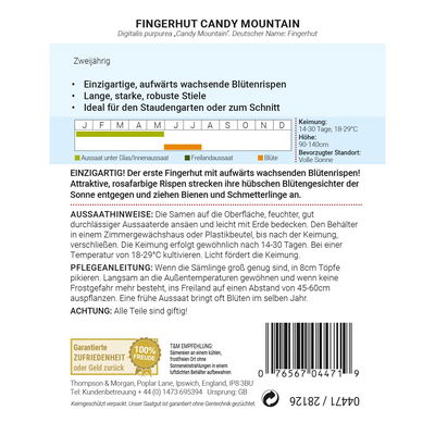 Thompson & Morgan Fingerhut 'Candy Mountain'