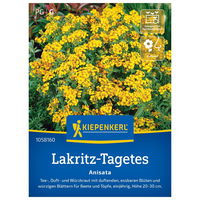 Blumensamen, Lakritz-Tagetes 'Anisata'