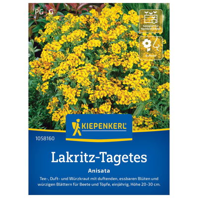 Blumensamen, Lakritz-Tagetes 'Anisata' Blumensamen, Lakritz-Tagetes 'Anisata'