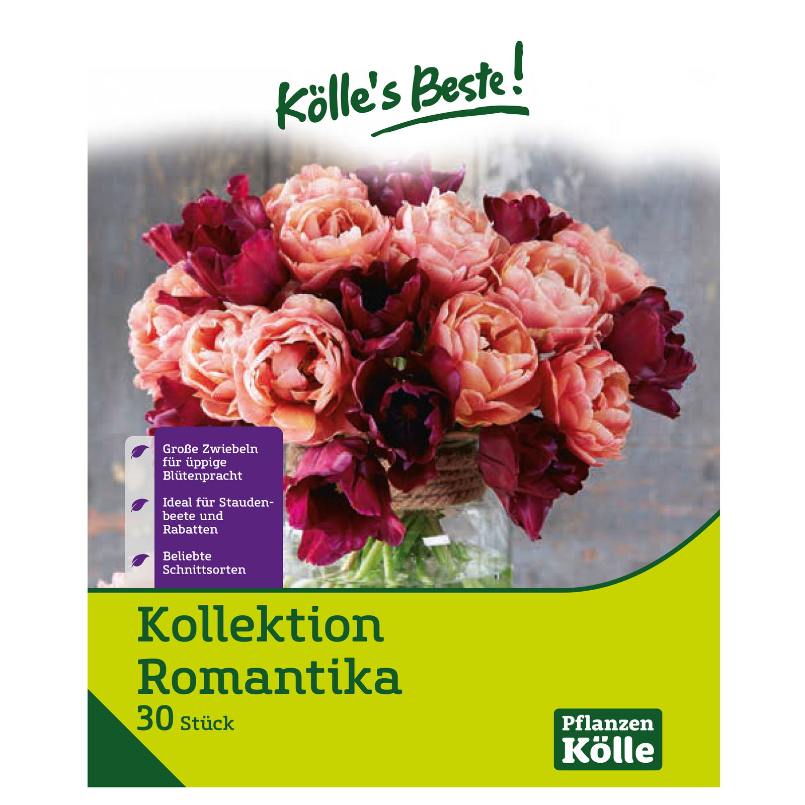 Tulpenmischung Kollektion 'Romantika', 30 Blumenzwiebeln