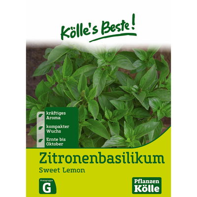 Kölles Beste Kräutersamen Zitronenbasilikum Sweet Lemon Kölles Beste Kräutersamen Zitronenbasilikum Sweet Lemon