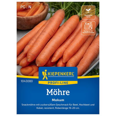 Möhre 'Mokum', orange Möhre 'Mokum', orange