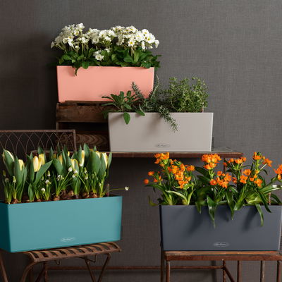 Lechuza 'Balconera Color 50', korallrot, ca. 50 x 19 x H 19 cm Lechuza 'Balconera Color 50', korallrot, ca. 50 x 19 x H 19 cm