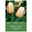 Greigii-Tulpe 'White Fire®', zweifarbig, 7 Blumenzwiebeln Greigii-Tulpe 'White Fire®', zweifarbig, 7 Blumenzwiebeln