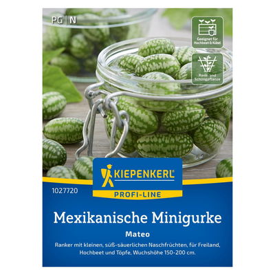 Saatgut, Mexikanische Minigurke 'Mateo'