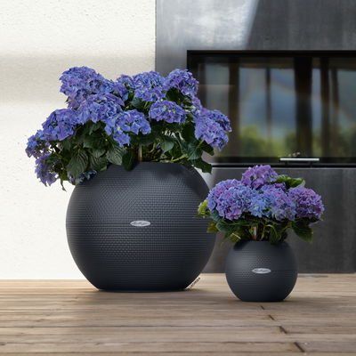 Lechuza 'Puro Color 50', schiefergrau, ca. Ø 50 x H 39 cm Lechuza 'Puro Color 50', schiefergrau, ca. Ø 50 x H 39 cm