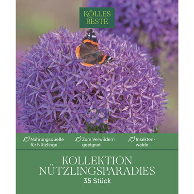 Krokus-Kollektion 'Nützlingsparadies', blau, pink, 35 Blumenzwiebeln Krokus-Kollektion 'Nützlingsparadies', blau, pink, 35 Blumenzwiebeln