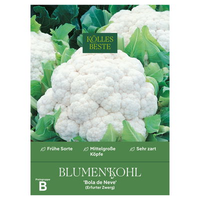Kölles Beste Gemüsesamen, Blumenkohl 'Bola de Neve'