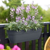 Elho Pflanzgefäß 'Vibia Campana Easy Hanger XL', anthrazit Elho Pflanzgefäß 'Vibia Campana Easy Hanger XL', anthrazit