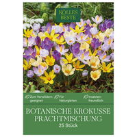 botanische Krokusse 'Prachtmischung', Farbmix, 25 Blumenzwiebeln