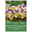 botanische Krokusse 'Prachtmischung', Farbmix, 25 Blumenzwiebeln botanische Krokusse 'Prachtmischung', Farbmix, 25 Blumenzwiebeln