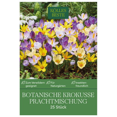 botanische Krokusse 'Prachtmischung', Farbmix, 25 Blumenzwiebeln botanische Krokusse 'Prachtmischung', Farbmix, 25 Blumenzwiebeln