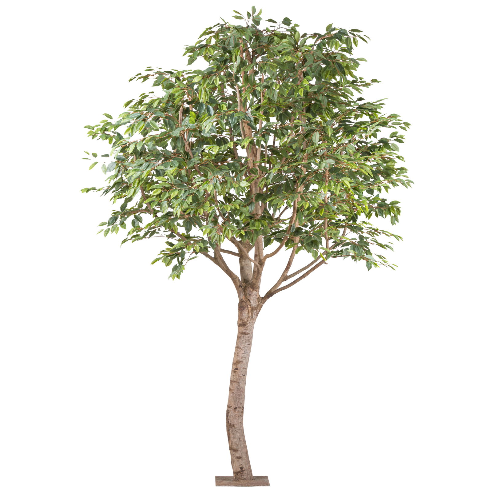 Kunstpflanze Ficus Benjamina, Höhe ca. 260 cm