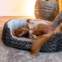 Nobby Komfortbett 'Seoli', grau, ca. 55 x 50 x 21 cm Nobby Komfortbett 'Seoli', grau, ca. 55 x 50 x 21 cm