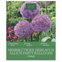 Zierlauch Allium 'Party Balloons', lila, Größe 16/+, 3 Blumenzwiebeln