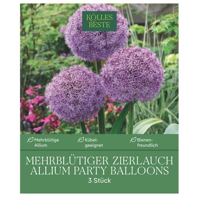 Zierlauch Allium 'Party Balloons', lila, Größe 16/+, 3 Blumenzwiebeln Zierlauch Allium 'Party Balloons', lila, Größe 16/+, 3 Blumenzwiebeln