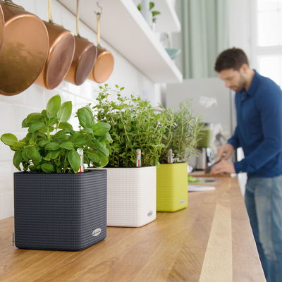 Lechuza 'Cube Color 14', weiß, ca. 14 x 14 x H 13,5 cm