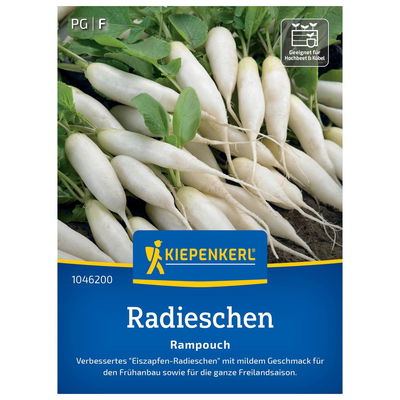 Gemüsesamen, Radieschen 'Rampouch'