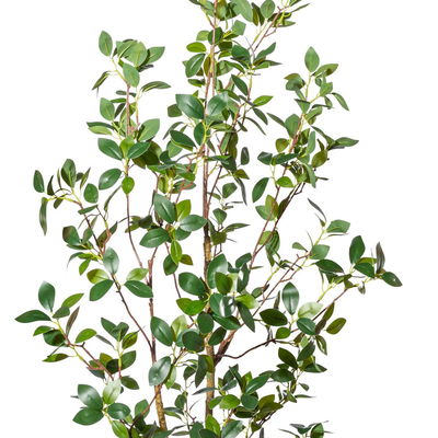 Kunstpflanze Ficus Ginseng, Höhe ca. 130 cm Kunstpflanze Ficus Ginseng, Höhe ca. 130 cm